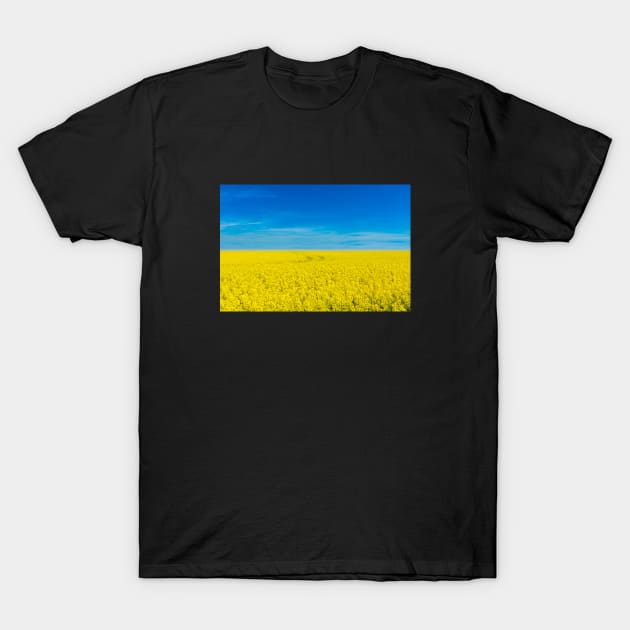 Ukraine national flag landscape - Landscape resembling Ukrainian Flag T-Shirt by mrsupicku